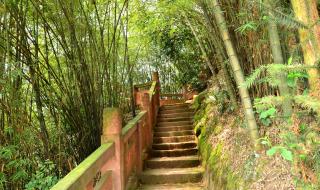 蜀南竹海自驾游攻略 蜀南竹海自驾游攻略