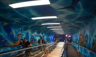 上海高架上实线变道(外滩隧道有摄像头)过多久会收到违章短信 上海外滩隧道车祸