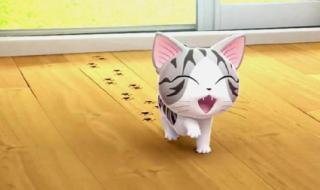 甜甜私房猫叫什么名字 甜甜私房猫表情包