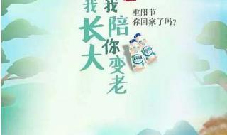 九九重阳节一年级文案 幼儿园重阳节文案