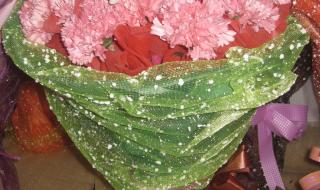 一束康乃馨图片 一束康乃馨图片