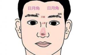 天庭饱满地阁方圆上亭丰而隆方而阔主 天庭饱满地阁方圆