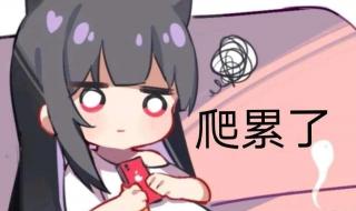 原神的舅舅是什么意思 原神舅舅党