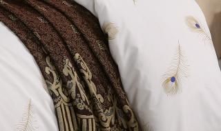 真正的蚕丝被贵吗 真正的蚕丝被多少钱