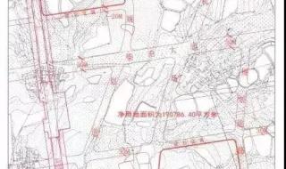 新洲一中老师最新名册 新洲一中阳逻校区