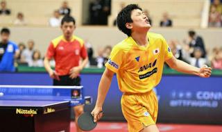 世乒赛男单八强战评价 乒乓球单打8强排名